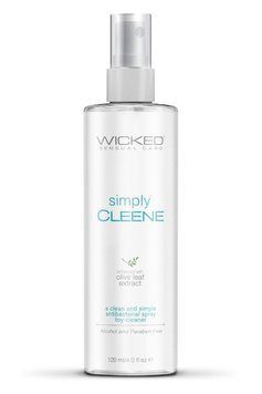 Очищувач для іграшок Wicked Sensual Care, 120 мл W252372 фото
